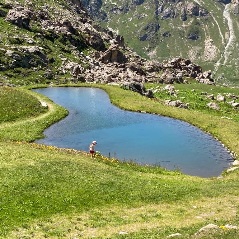 Bérénice